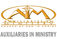 Auxiliaries In Ministry